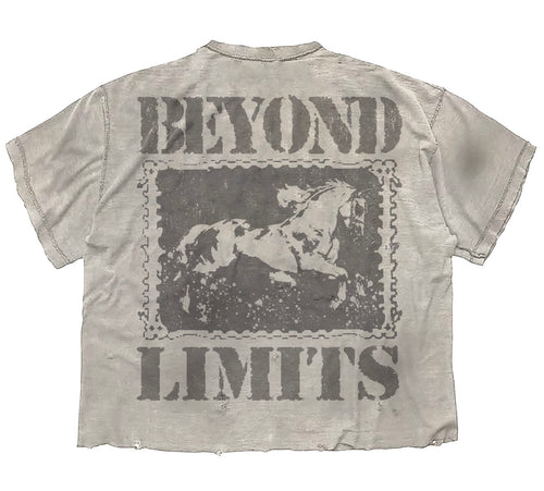 Cavalier Distressed Tee
